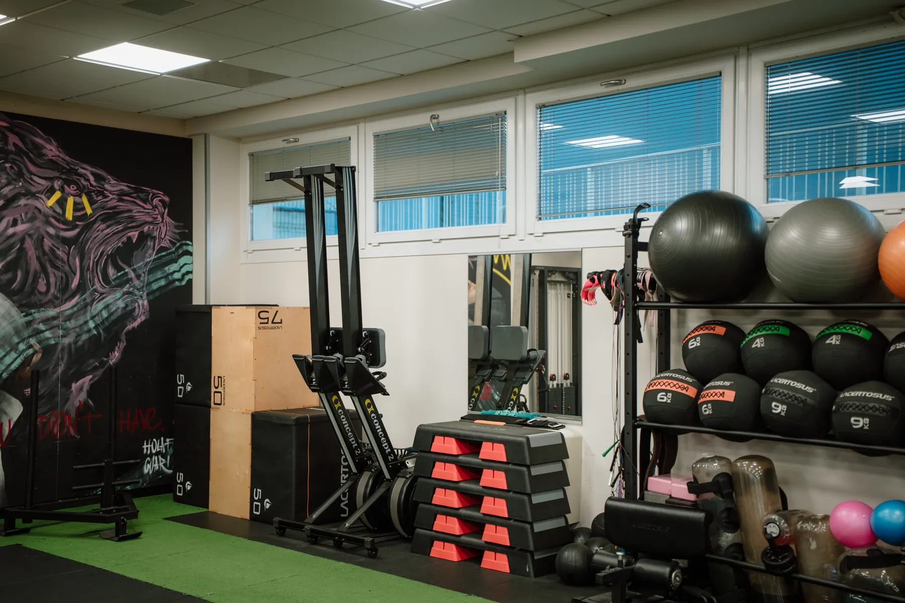 Step, fitball, palle mediche e altri attrezzi nella sala BorgoFit